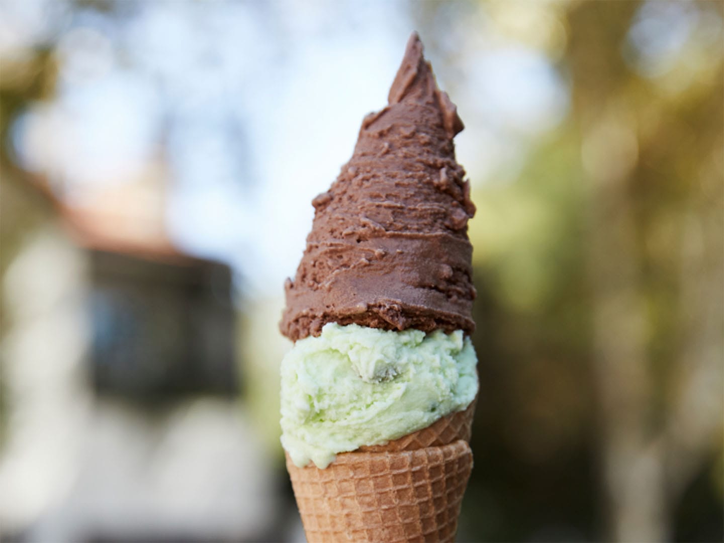 ¿Materia prima argentina? Abundante y excelente | Crédito: AFADHYA