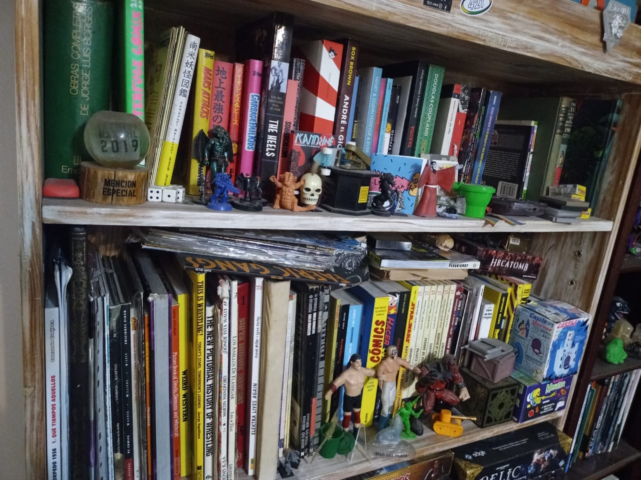 Una de mis bibliotecas en estado salvaje