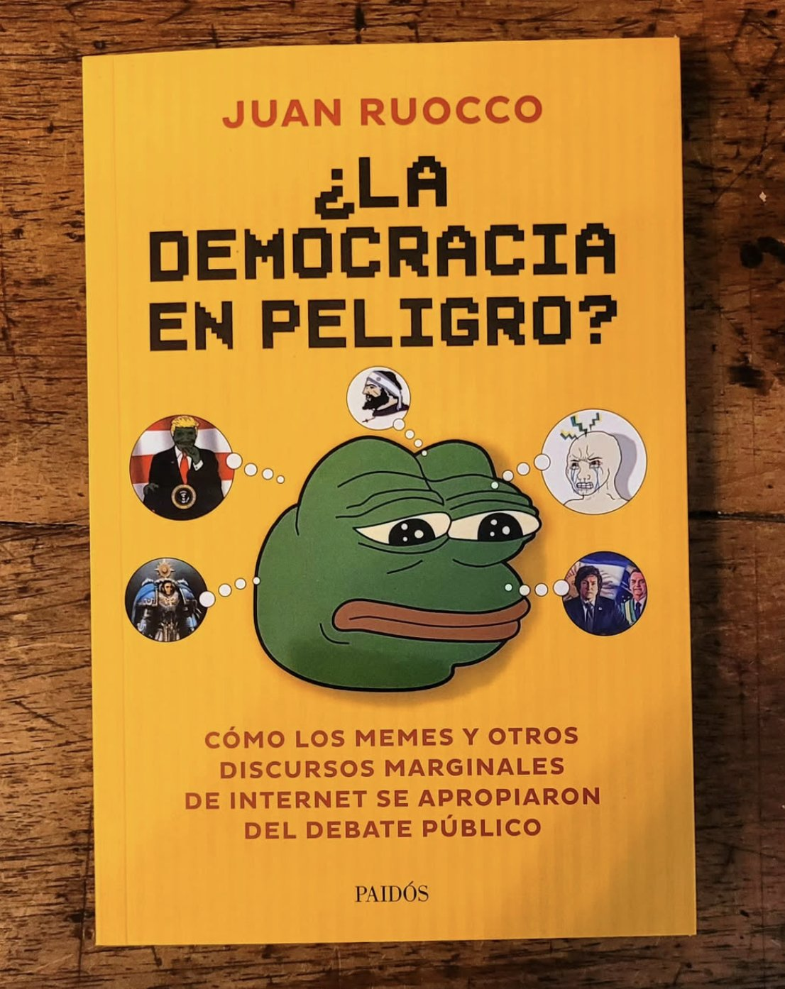 "¿La democracia en peligro?" Juan Ruocco (2019)
