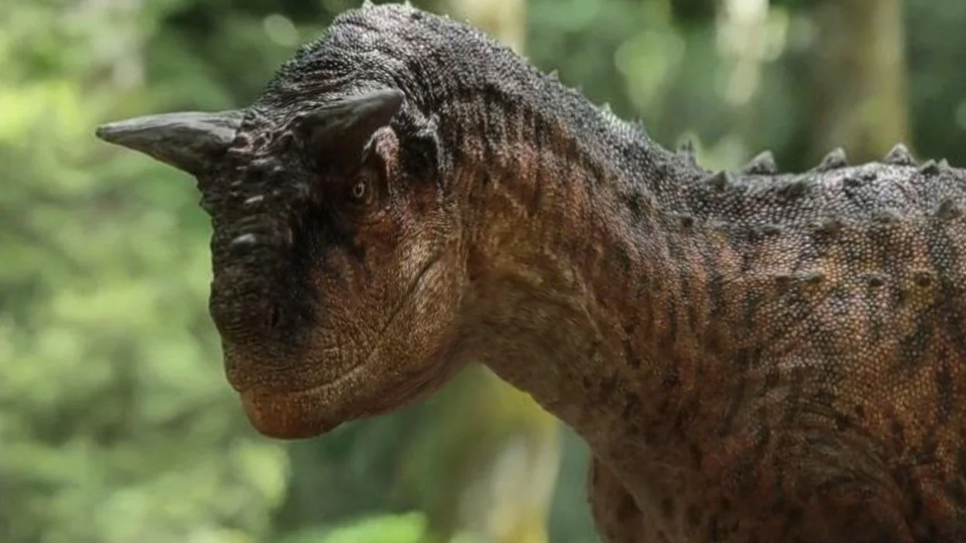 Carnotauro: el dinosaurio más icónico de Argentina