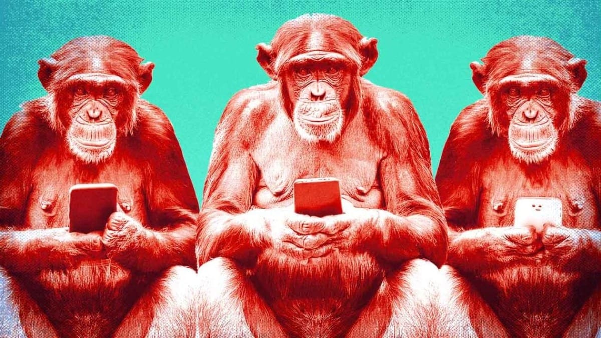 Monkey see, monkey do. Credit: @KidNavajoArt
