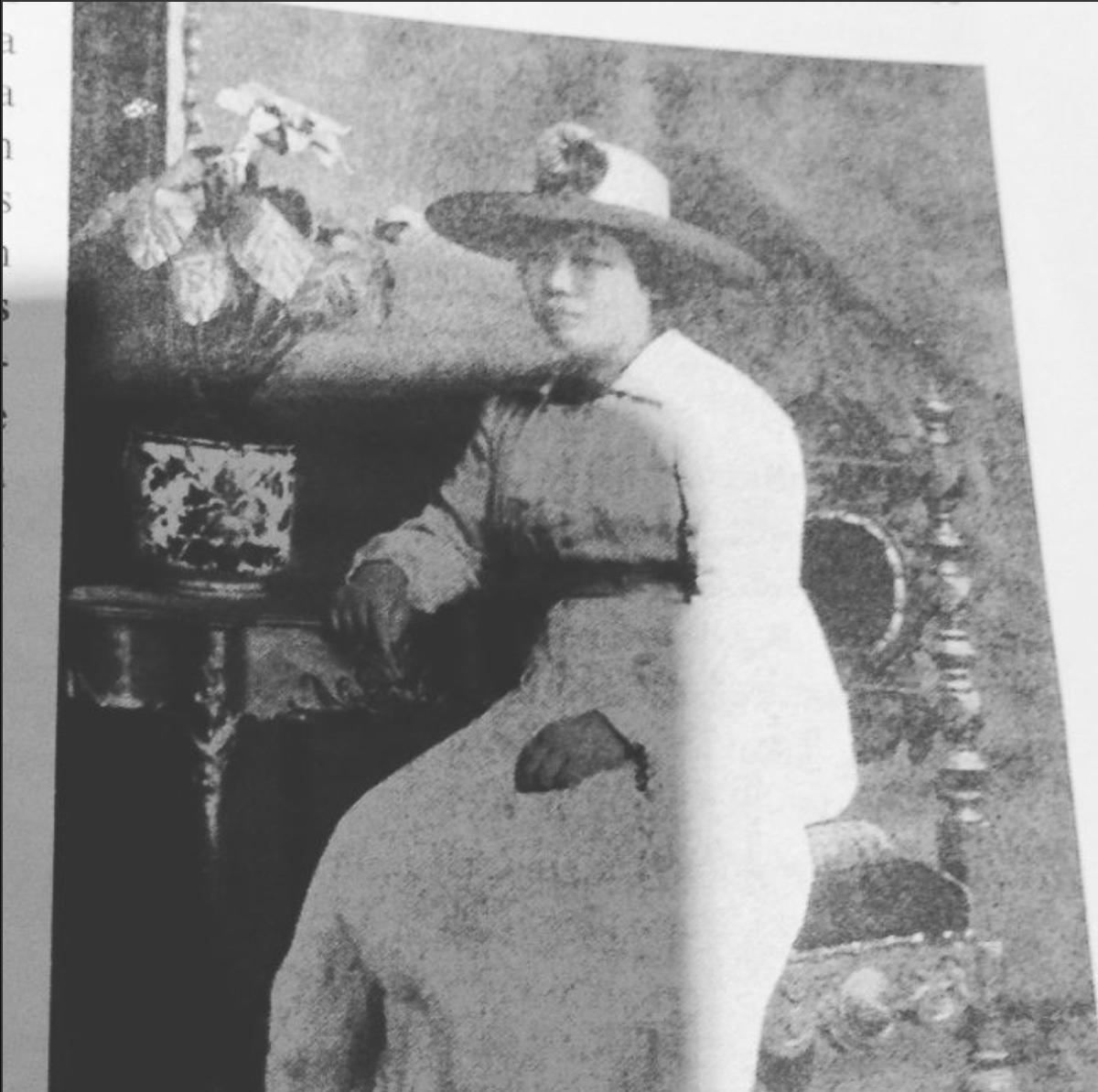 tintorería japonesa