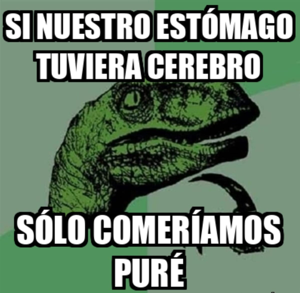 meme