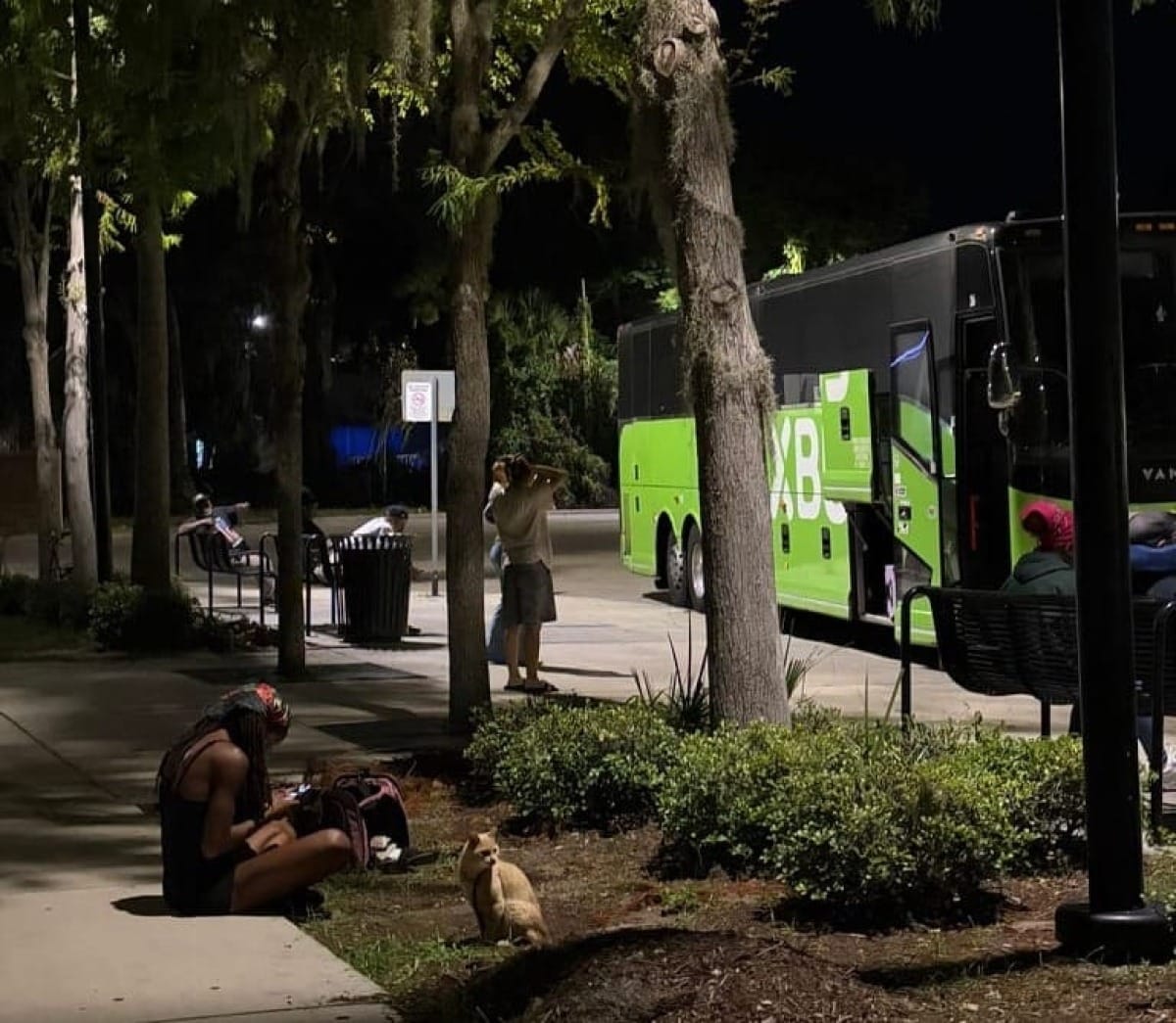 Greyhound bus