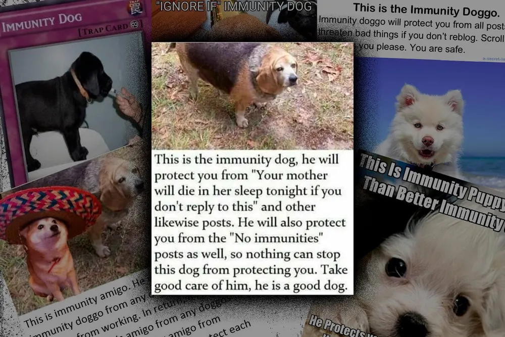 Immunity Dog, the dog that protects you from internet horror