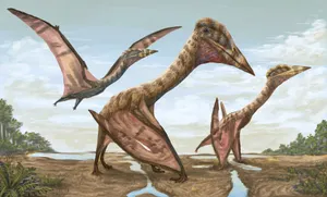 Thanatosdrakon: The Largest Pterosaur in South America