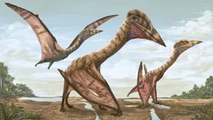 Thanatosdrakon: El pterosaurio más grande de Sudamérica