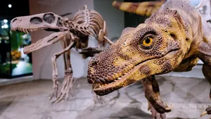 Argentina: The Origin of the First Dinosaurs