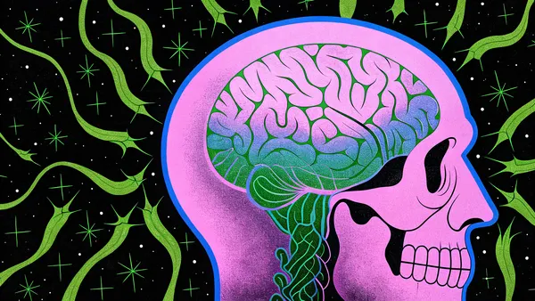 How to Protect Your Brain from the Algorithm