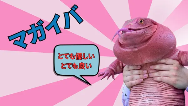 Magaiba, la primera memecoin argentina exitosa