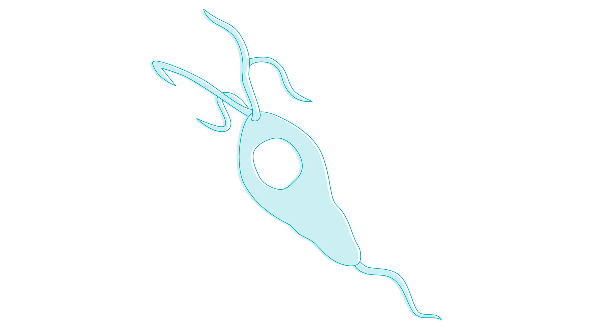 trichomoniasis-is-a-possible-cause-of-yellow-vaginal-discharge-illustration-of-trichomoniasis-dna