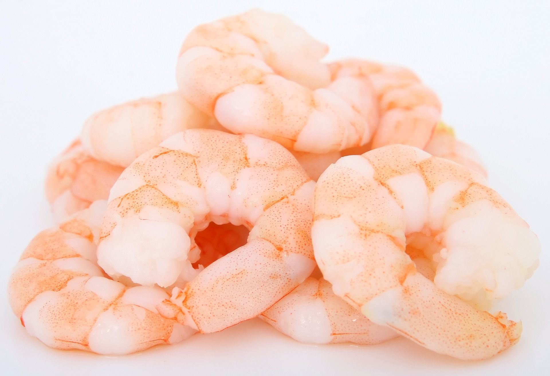 prawns-1239307_1920