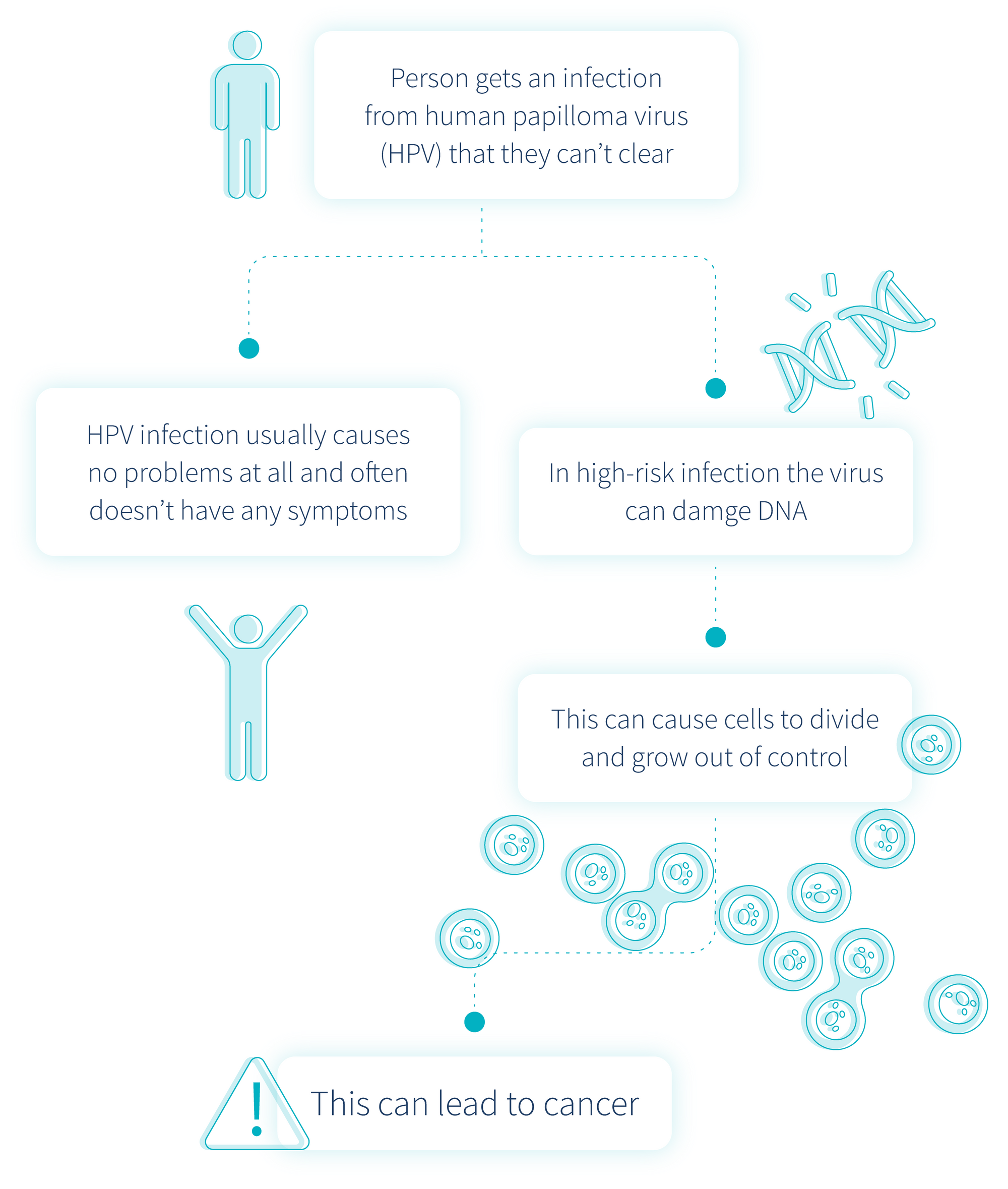 causes-of-cervical-cancer-infographic