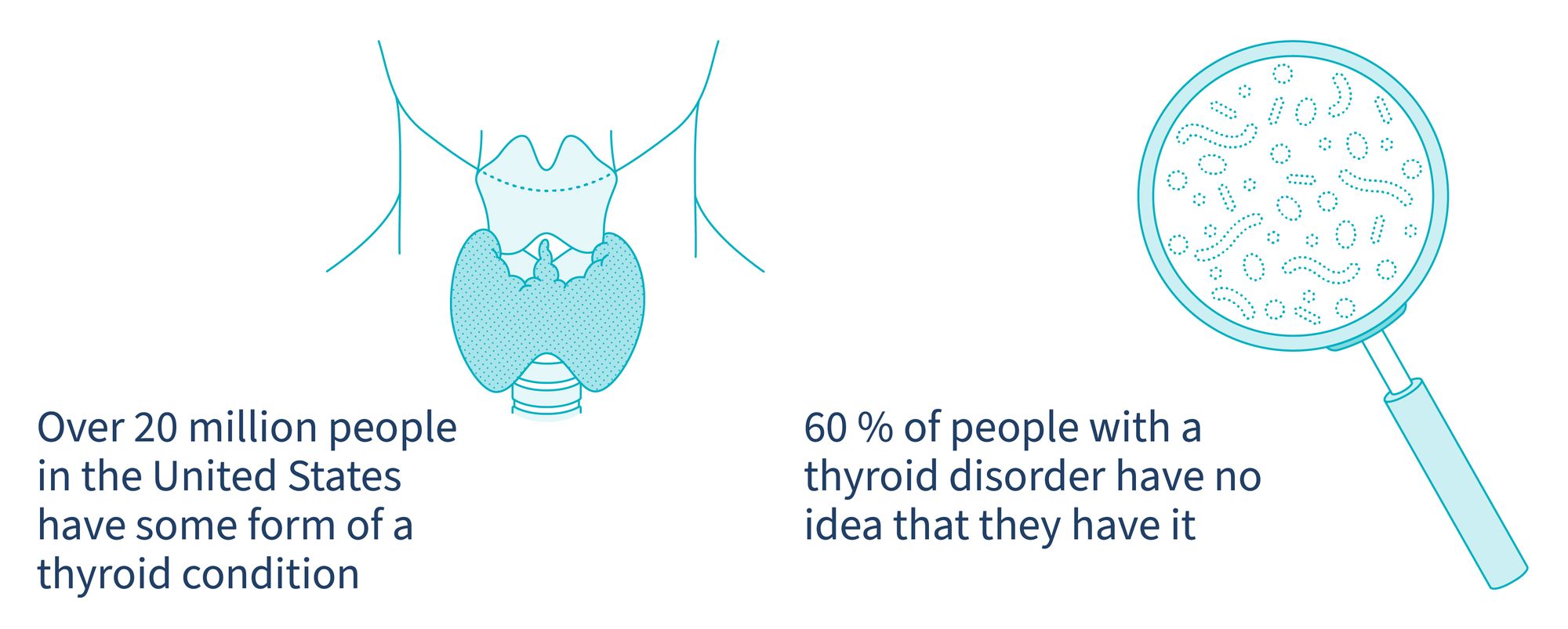 thyroid--2-