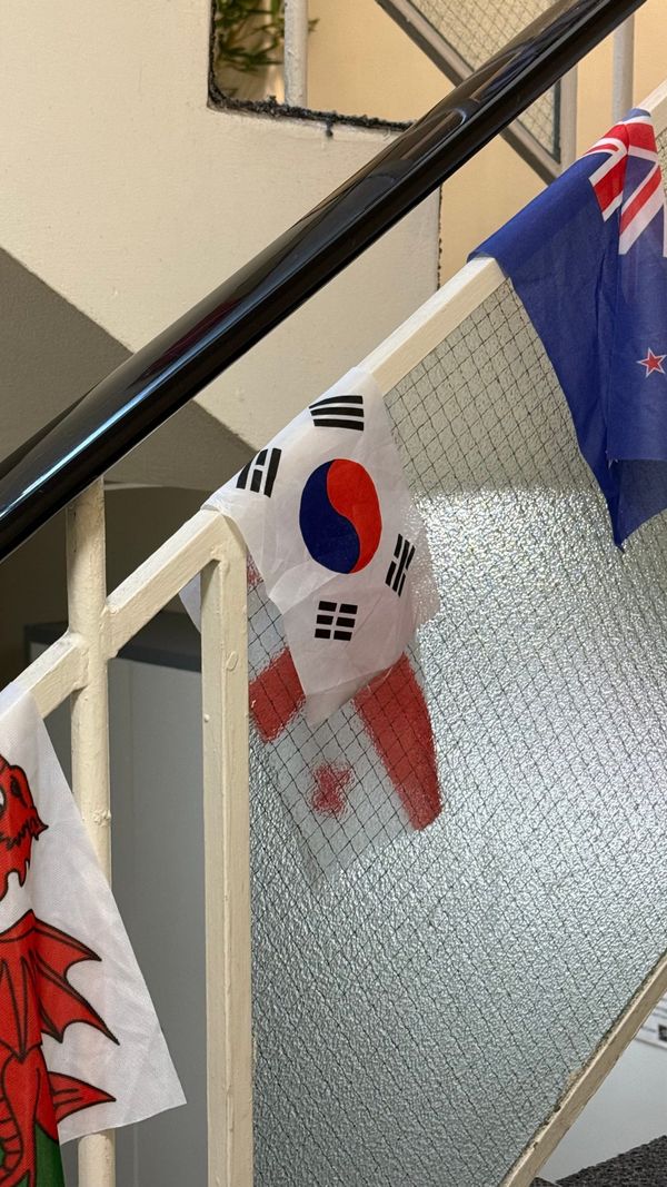 안경잡이 자전거 여행자의 비극: 테무도 알리도 없는 로토루아에서