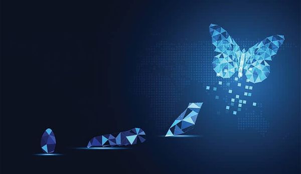 Embracing Open Transformation