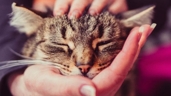 Real and Raw Dating Advice for Women