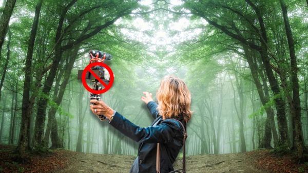 Dear Camera Review Bros, STOP Vlogging From the Forest 🌲