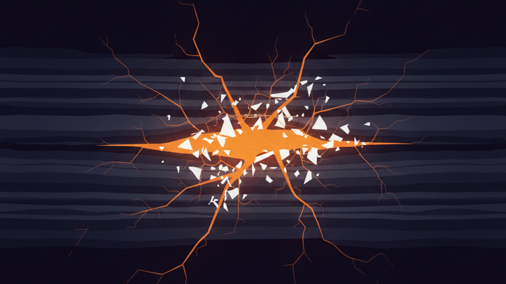 OpenAI Told Mathematician to Erase Anthropic Researcher From Prizewinning Proof