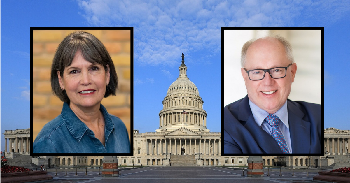 Minnesota's Fourth Congressional District candidate guide