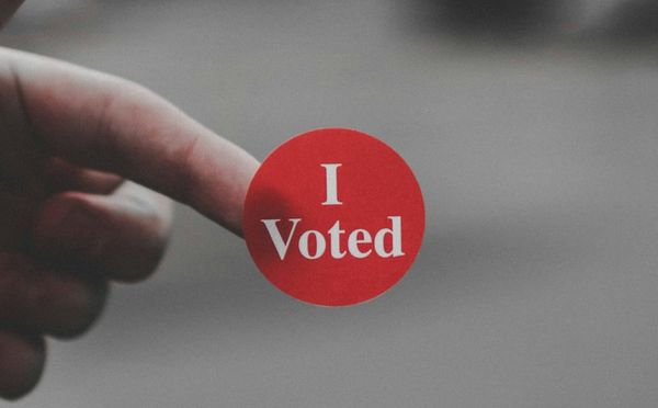 Roseville Area School District Voting Guide 2025