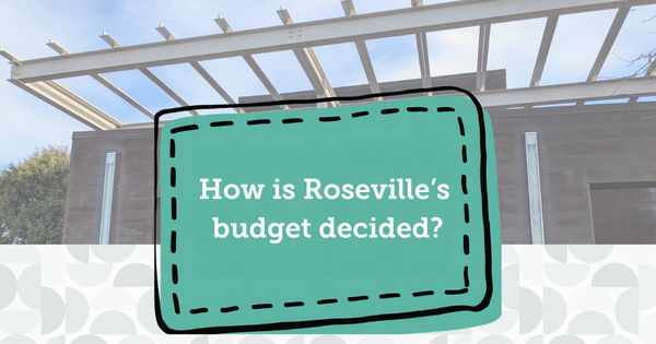 Making sense of the city budget planning process
