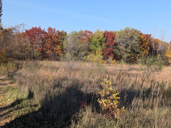 Local Matters | October 26, 2026