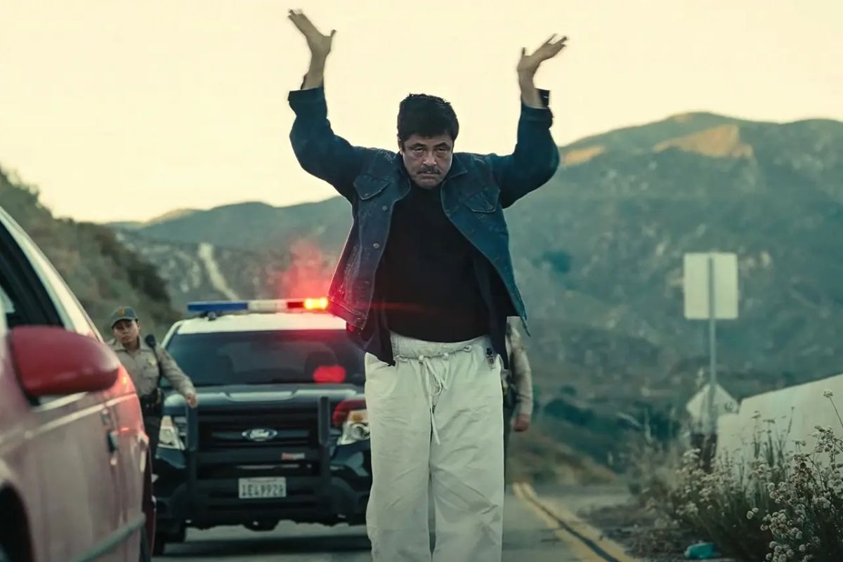 30 Favorite Films from 2025