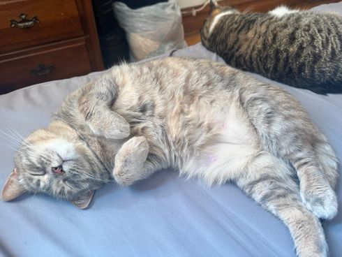 Taking A Much-Needed Extended Break