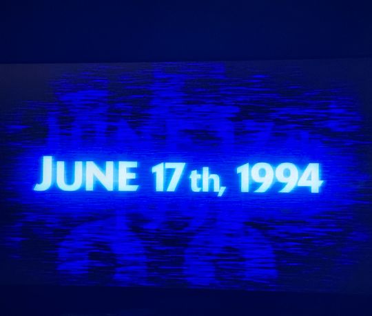 #55: June 17, 1994 (dir. Brett Morgan)