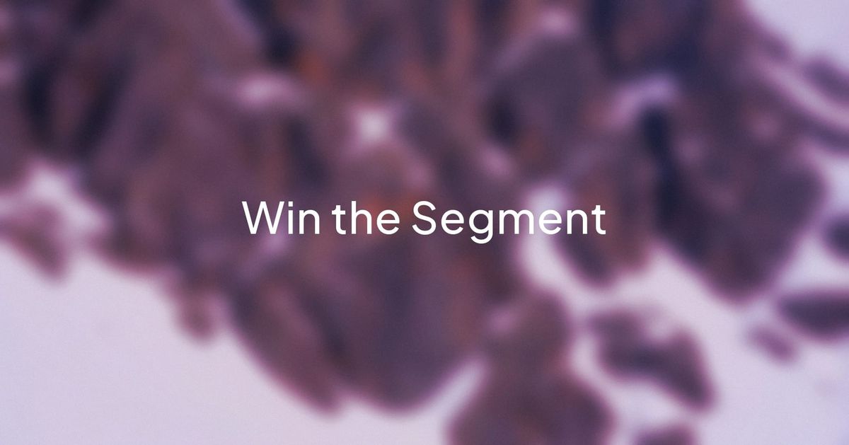 LinkedIn Micro-Campaigns: Win the Segment, Not the Feed