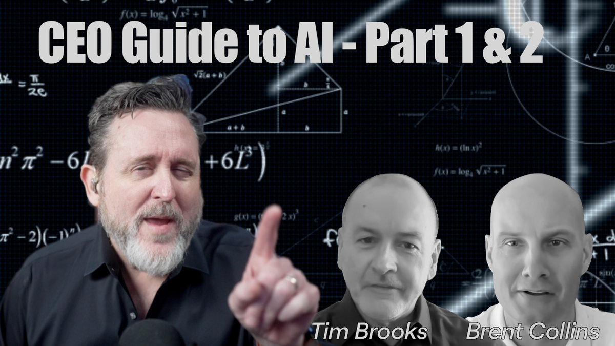 AI guide for CEO's in two parts