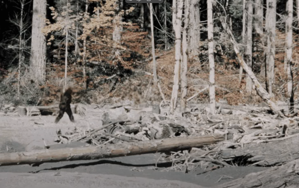 Patterson–Gimlin Bigfoot Film (1967)
