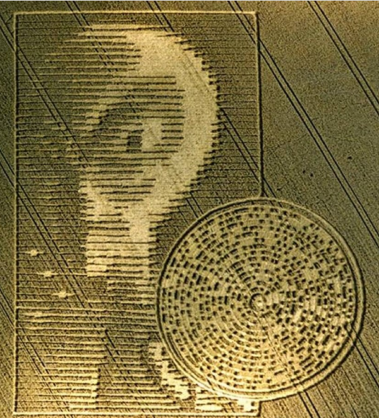 The 2002 “Alien Face and Disc” Crop Formation