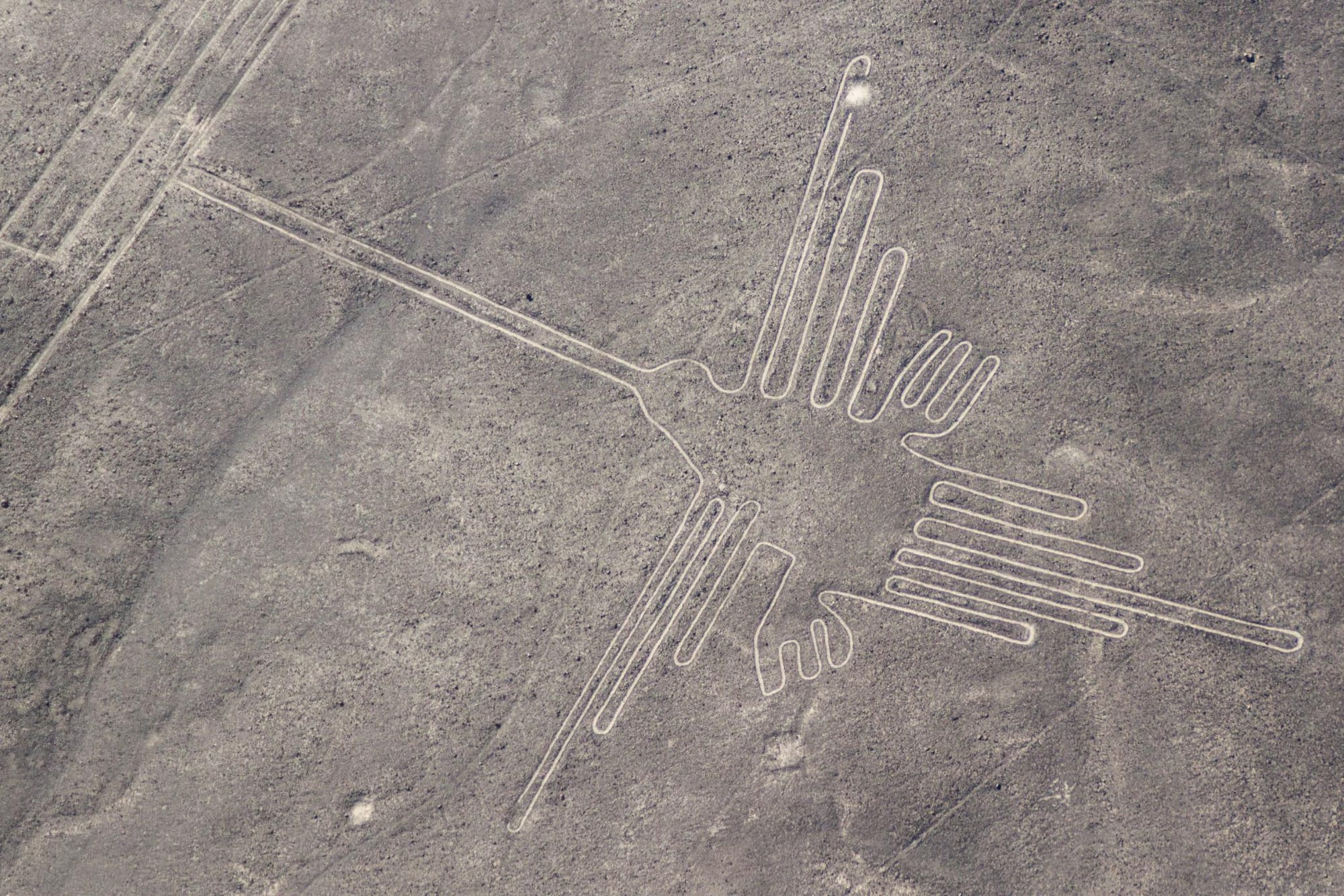 The Nazca Lines and the Desert Geometry of the Ancient Mind