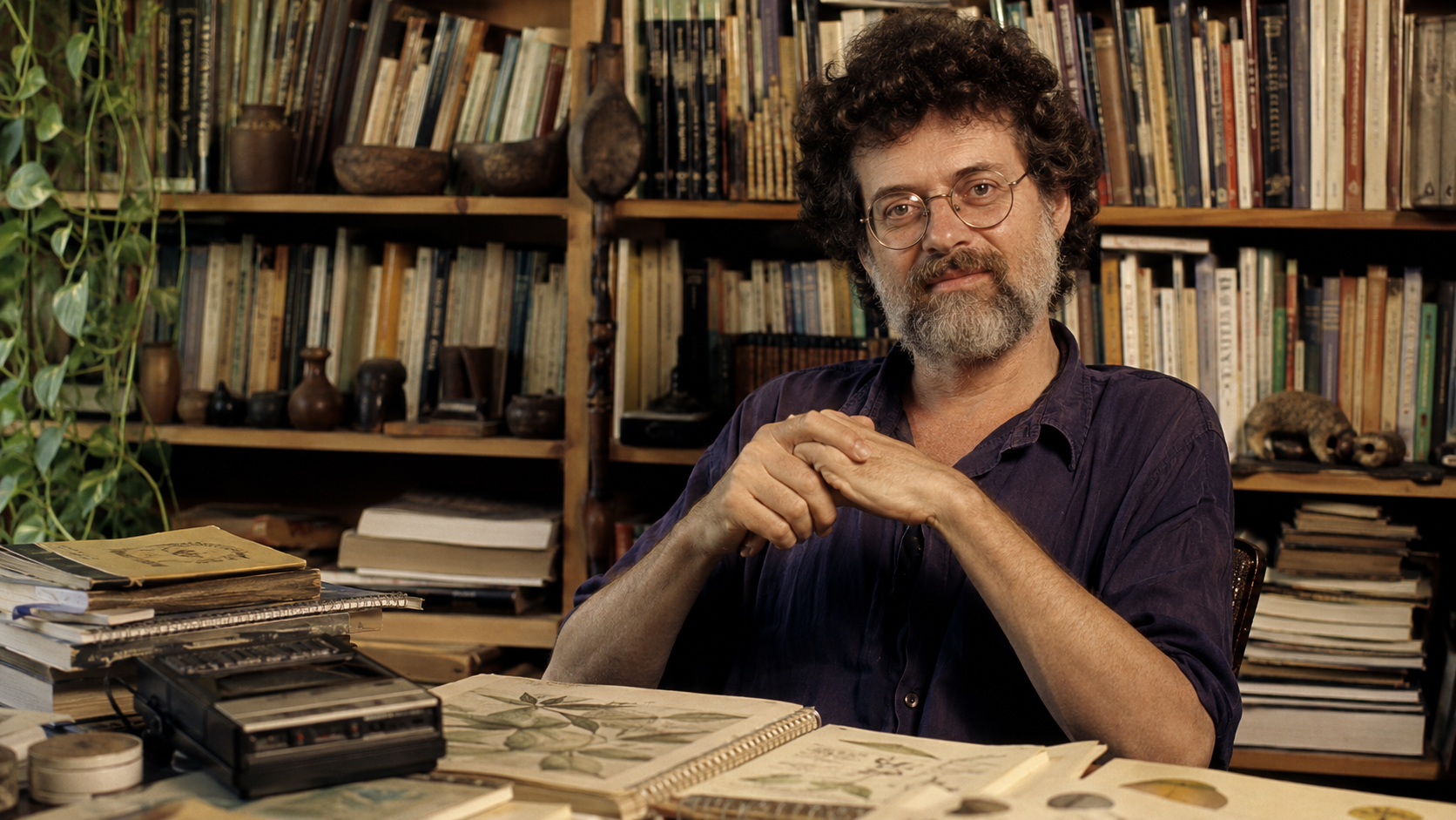 Terence McKenna and the Psychedelic Imagination of Reality