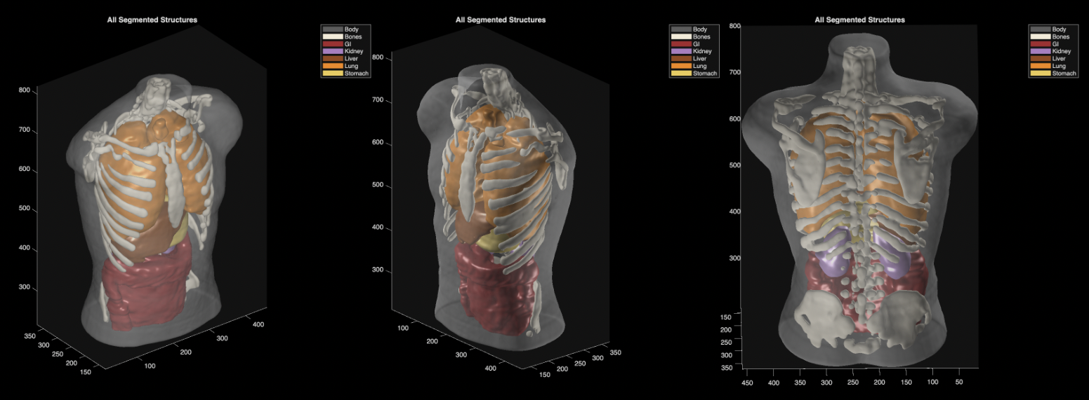 The Body Becomes Searchable