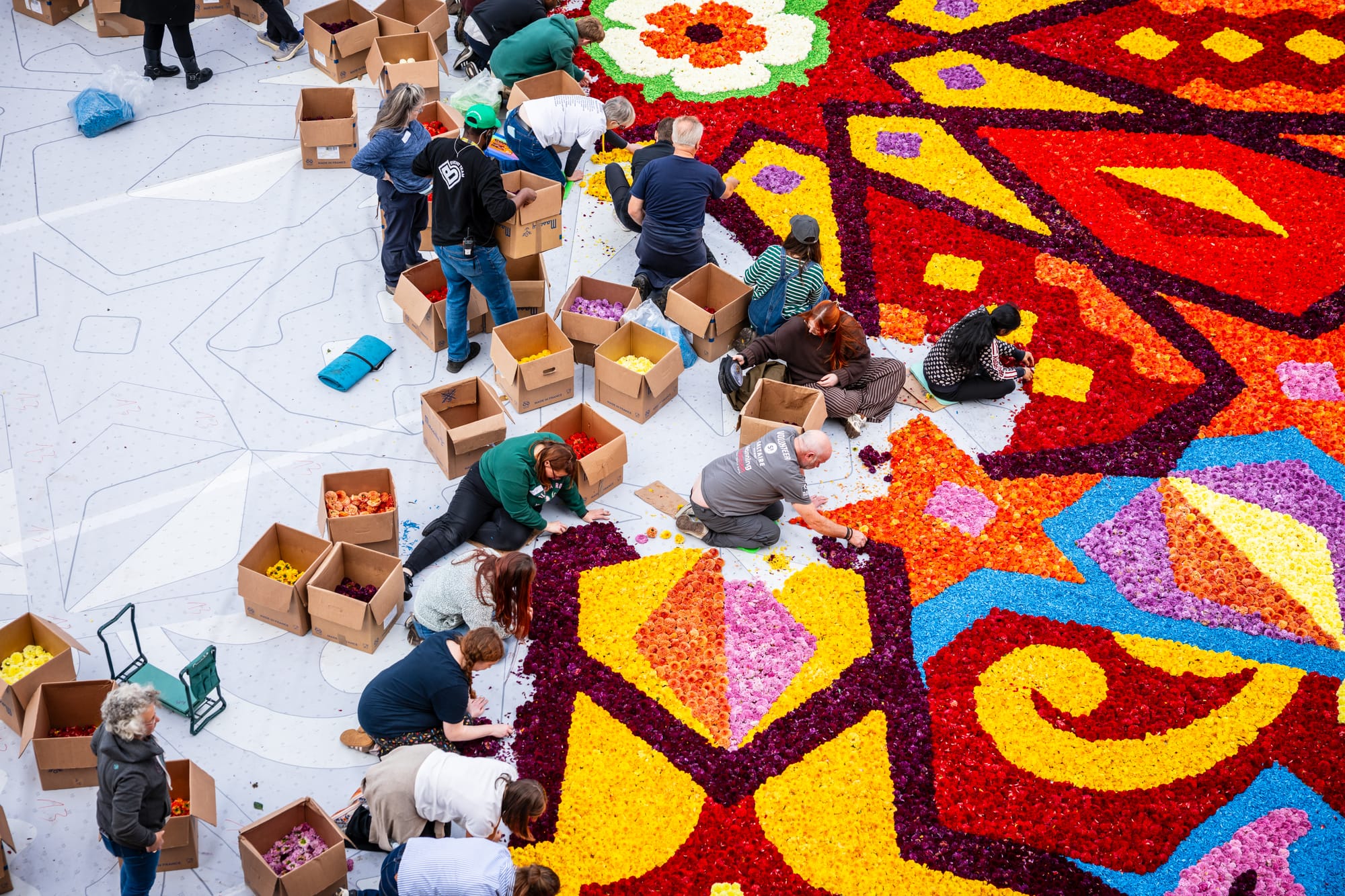 Kneeling people with boxes of flowerheads strewn around them put together the Flower Carpet, an ornate abstract multi-coloured art project. The drawn-out design can be seen on the ground in places where the flowers have not yet been placed.