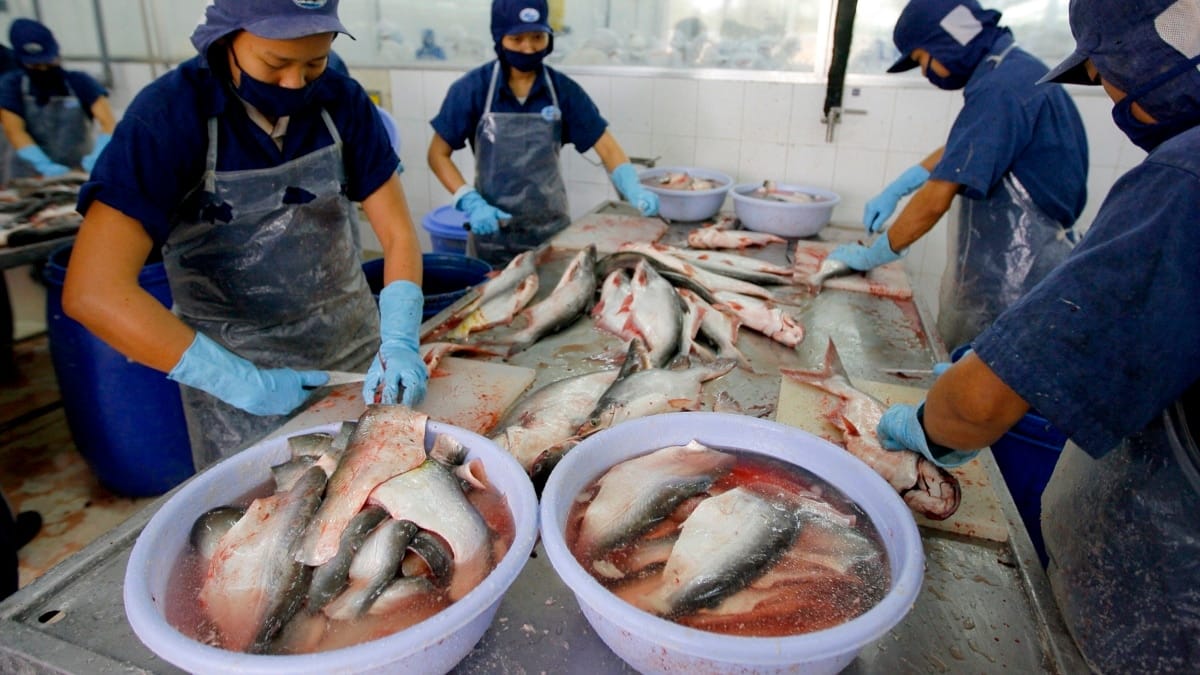 Vietnam Bans Unsafe Seafood in Central Provinces