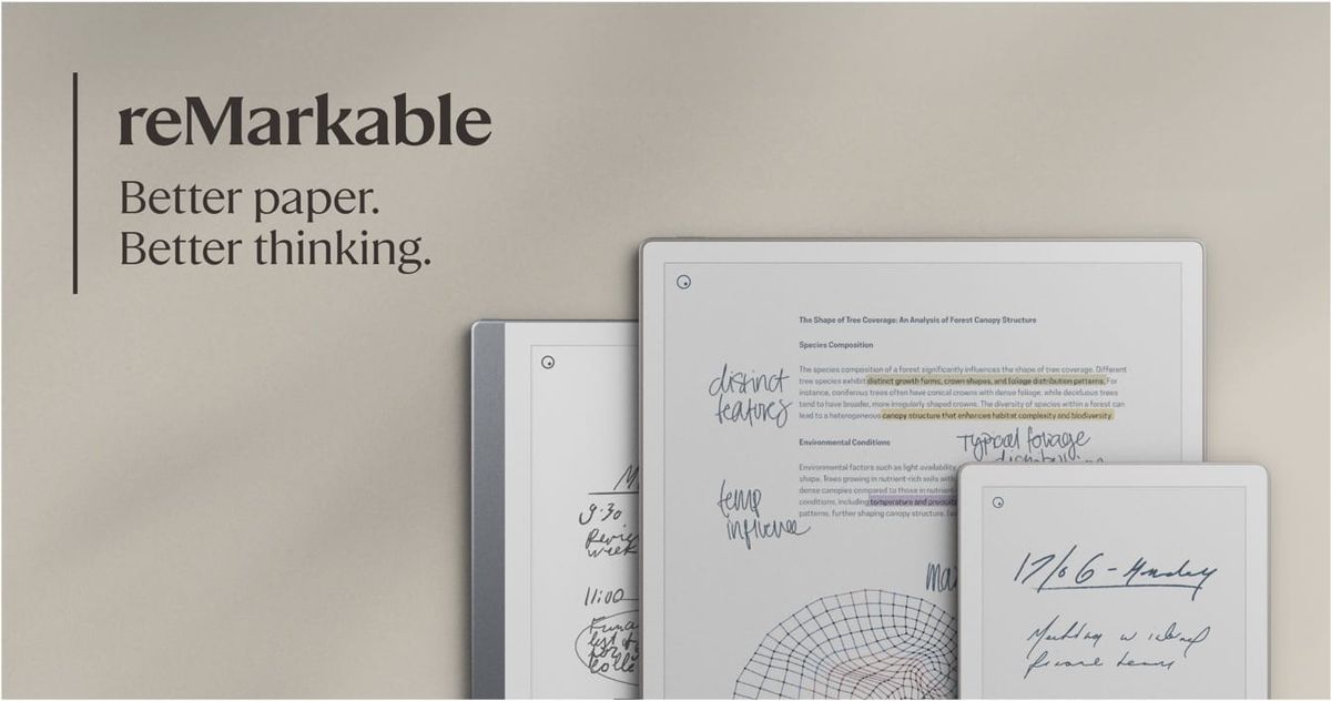 Understanding the e-paper market
