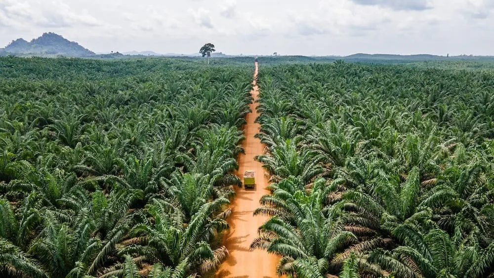 Indonesian land seizures