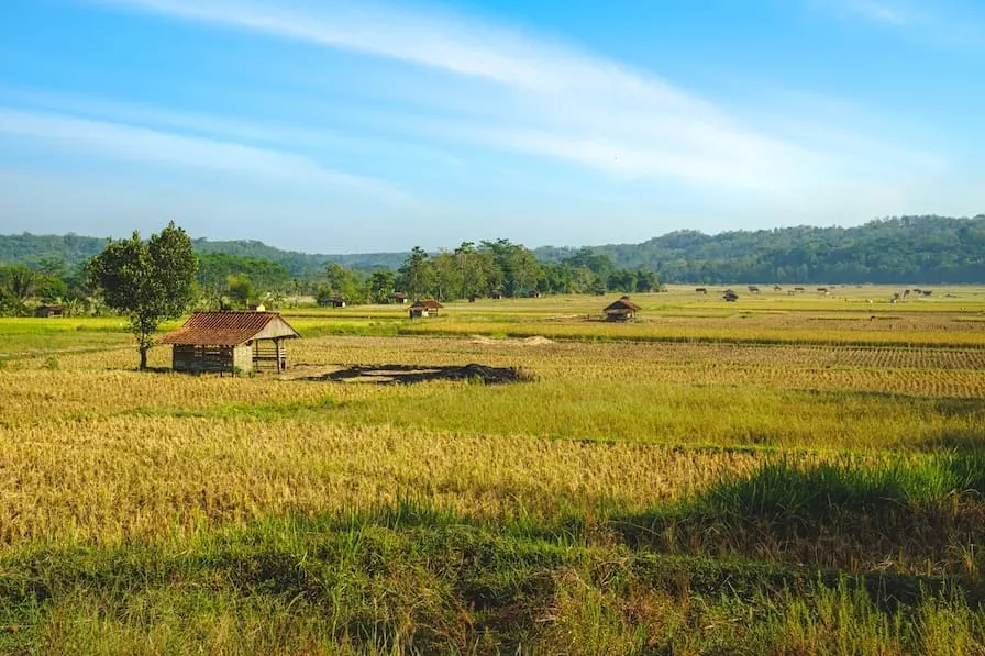 The coming El Niño of 2026