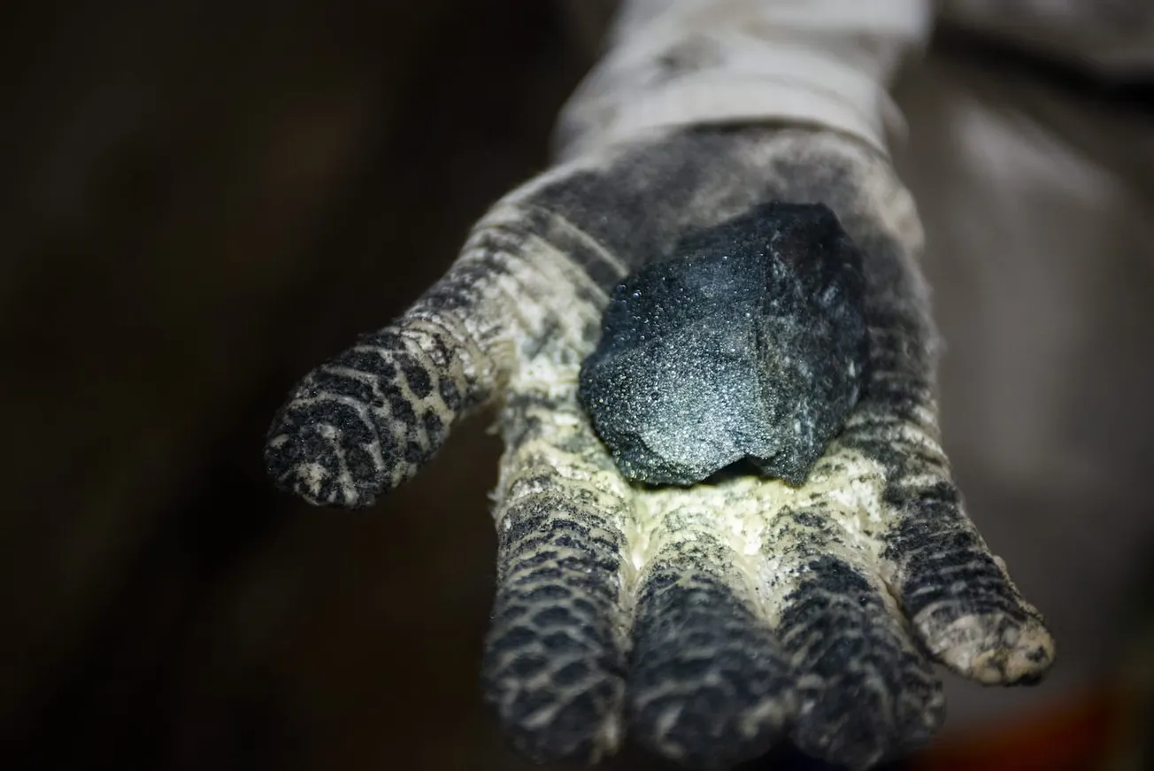 The anti-EV commodities