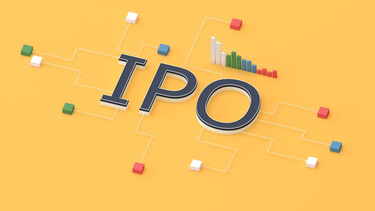 Japan's top 2024 IPOs