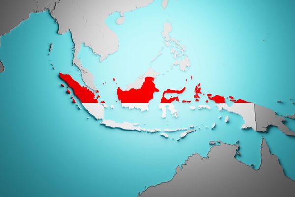Hidden Champions of Indonesia