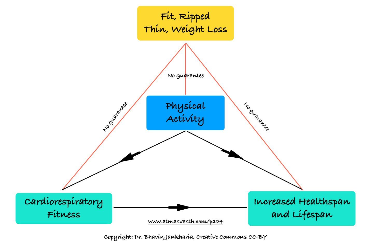 The Disconnect Between How Thin or Fit We Look and How Healthy We Actually Are