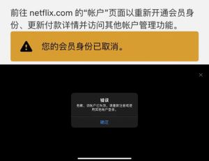 Netflix 疑似加大打击防共享的力度？