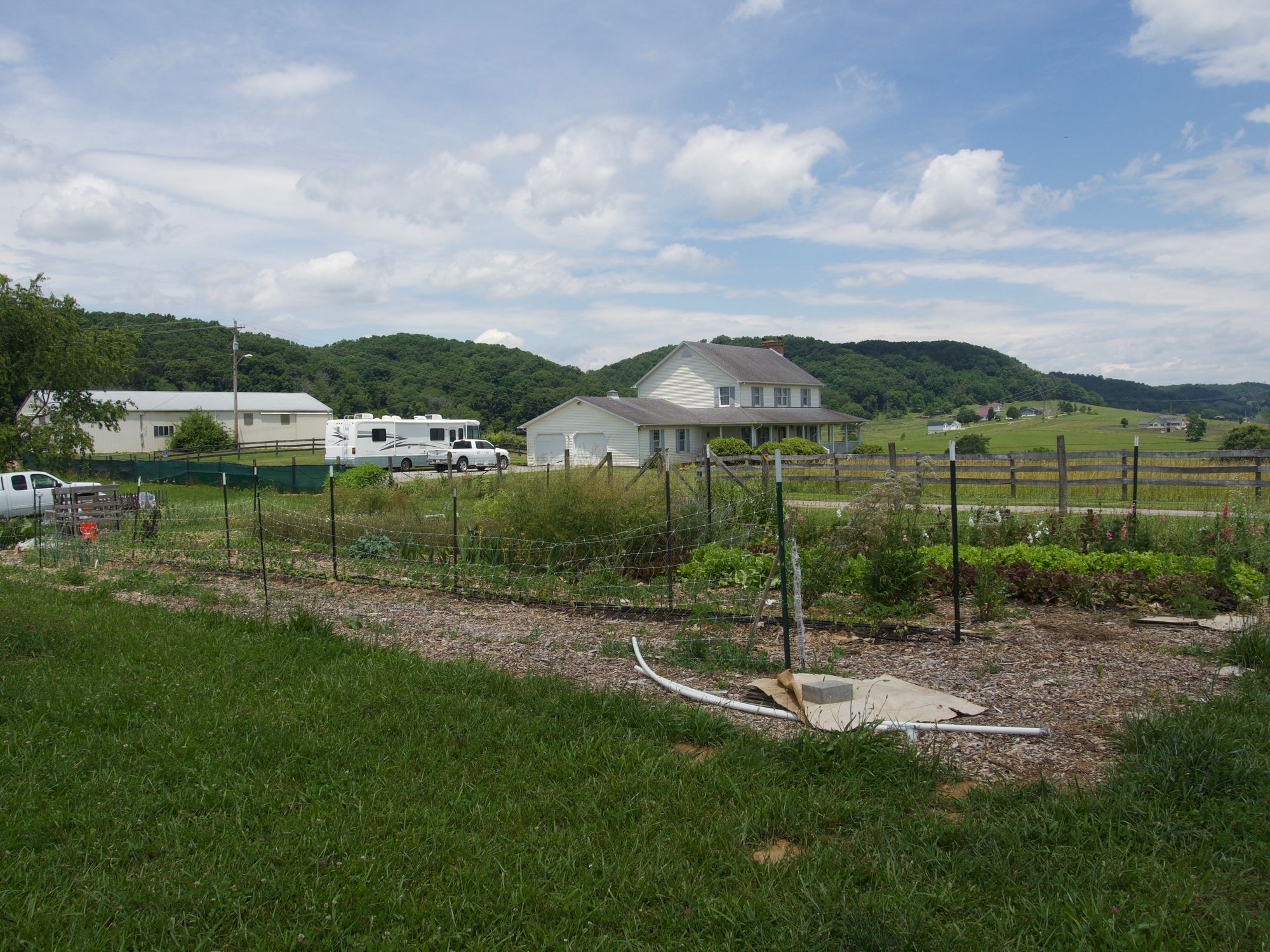 A few rows of crops. Most noticeable is the lettuce, which is very full.