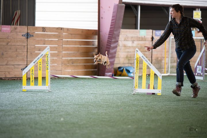 Me running alongside Jean as she jumps way too high over an agility jump.