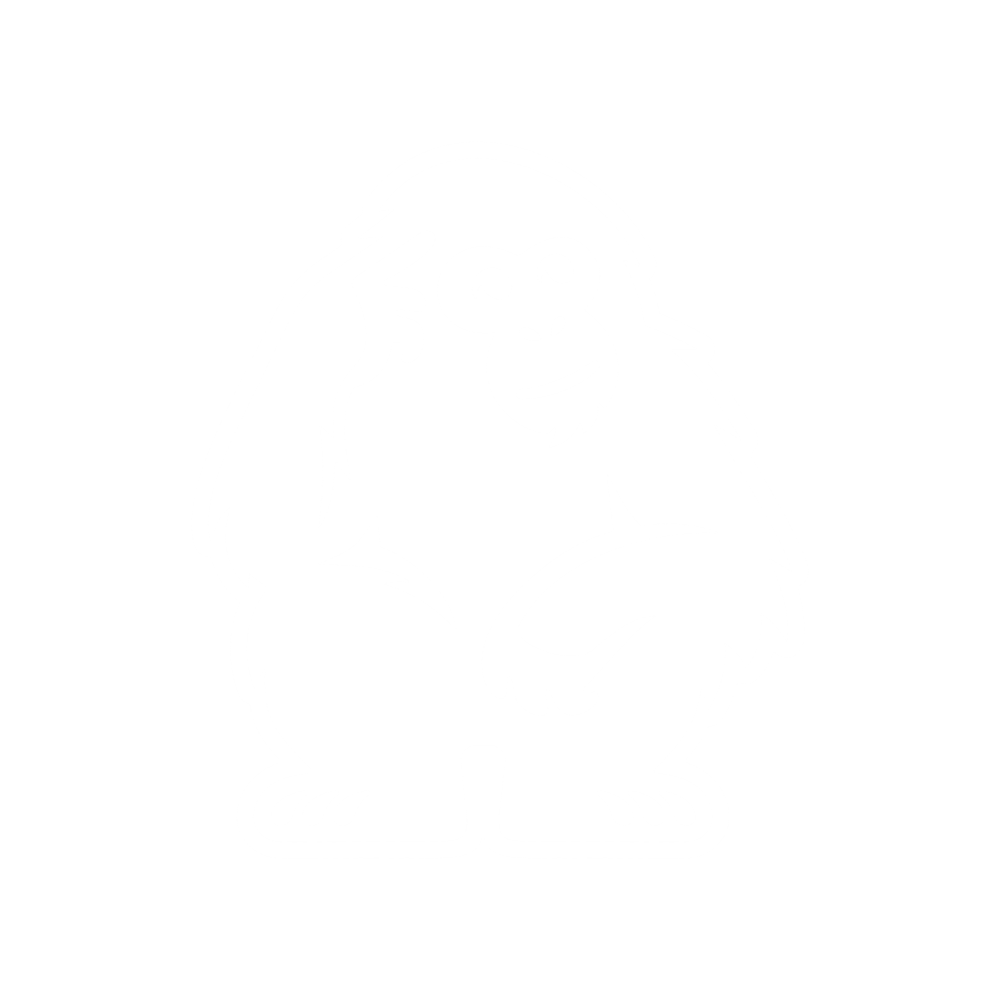 Thoughtful Apes